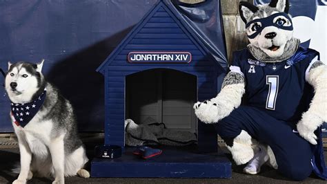 Why Harry the Husky Mascot Is More Than Just a Symbol